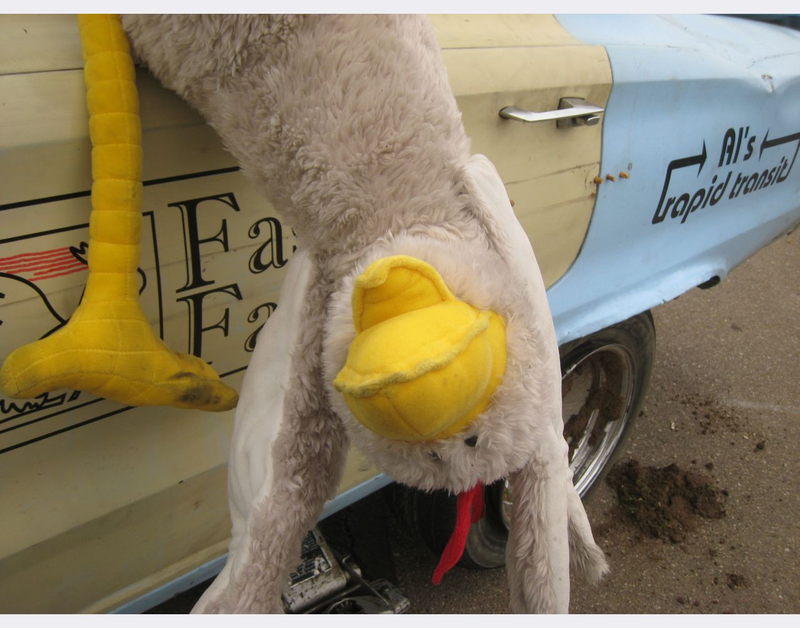 Illustration for article titled Faster Farms Chickens Join The LeMons Arse-Freeze-A-Palooza Upside-Down Brigade